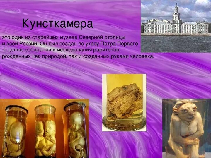 Музей Кунсткамера при Петре 1. Кунсткамера в Санкт-Петербурге Петра 1. Музей Кунсткамера в Санкт-Петербурге при Петре 1. Экспонат 1 краткое содержание