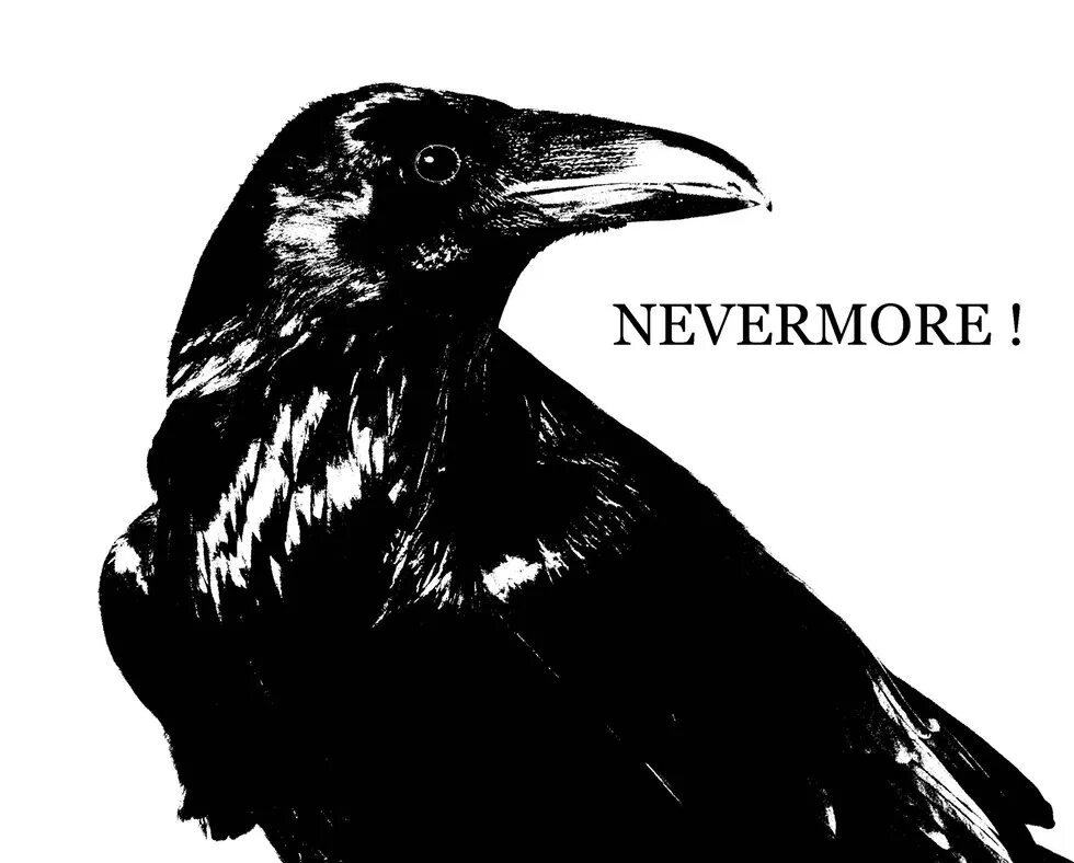 Raven poe. Каркнул ворон невермор.