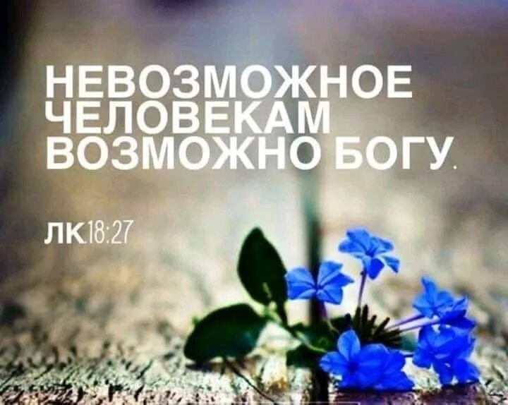 Невозможно богом быть. Вера в себя цитаты. Невозможно богом быть. Цитаты про веру. Невозможное человекам возможно богу.