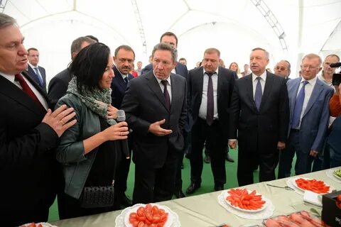 Тендеры липецк