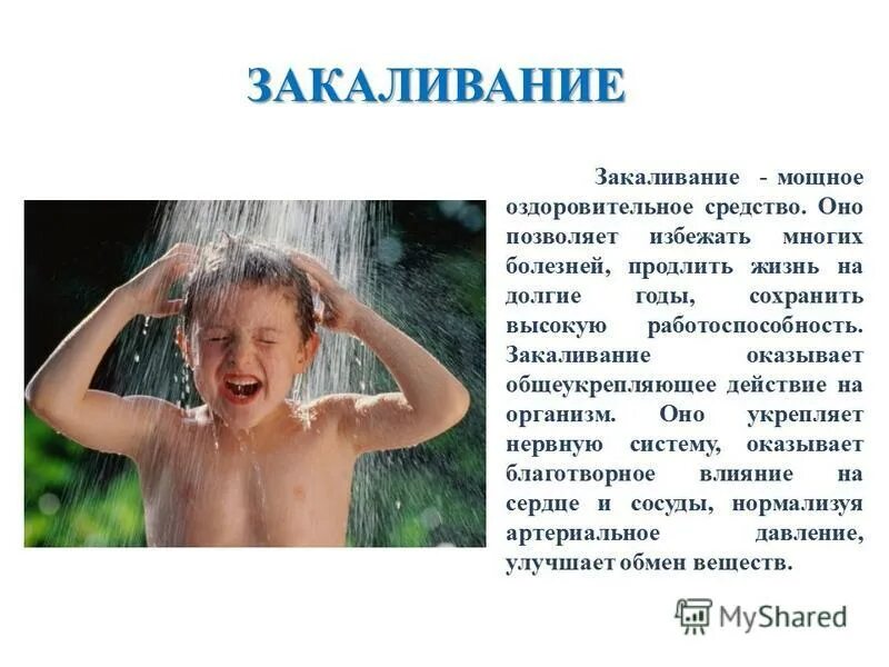 рисунок на тему закаливание. тюлени морские котики нерпы моржи.