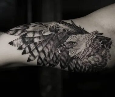 Harpy eagle tattoo  Eagle tattoo, Black and grey tattoos, Lower