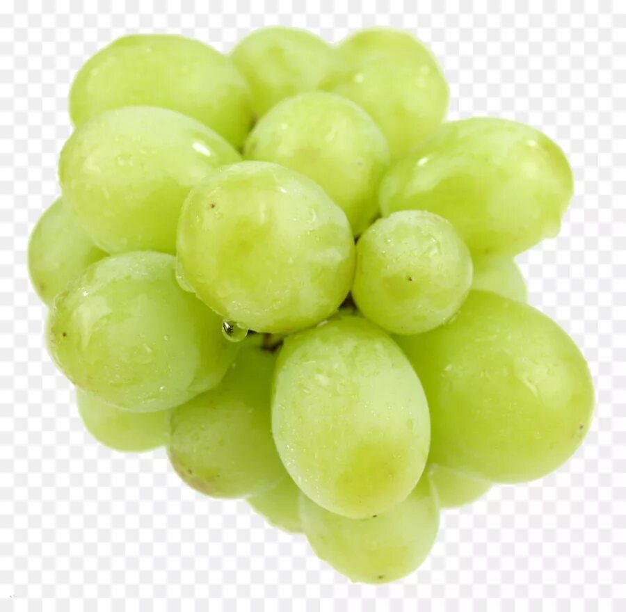 White grape. Коломбар виноград. green seedless grapes. виноград зеленый. виноград на белом фоне.
