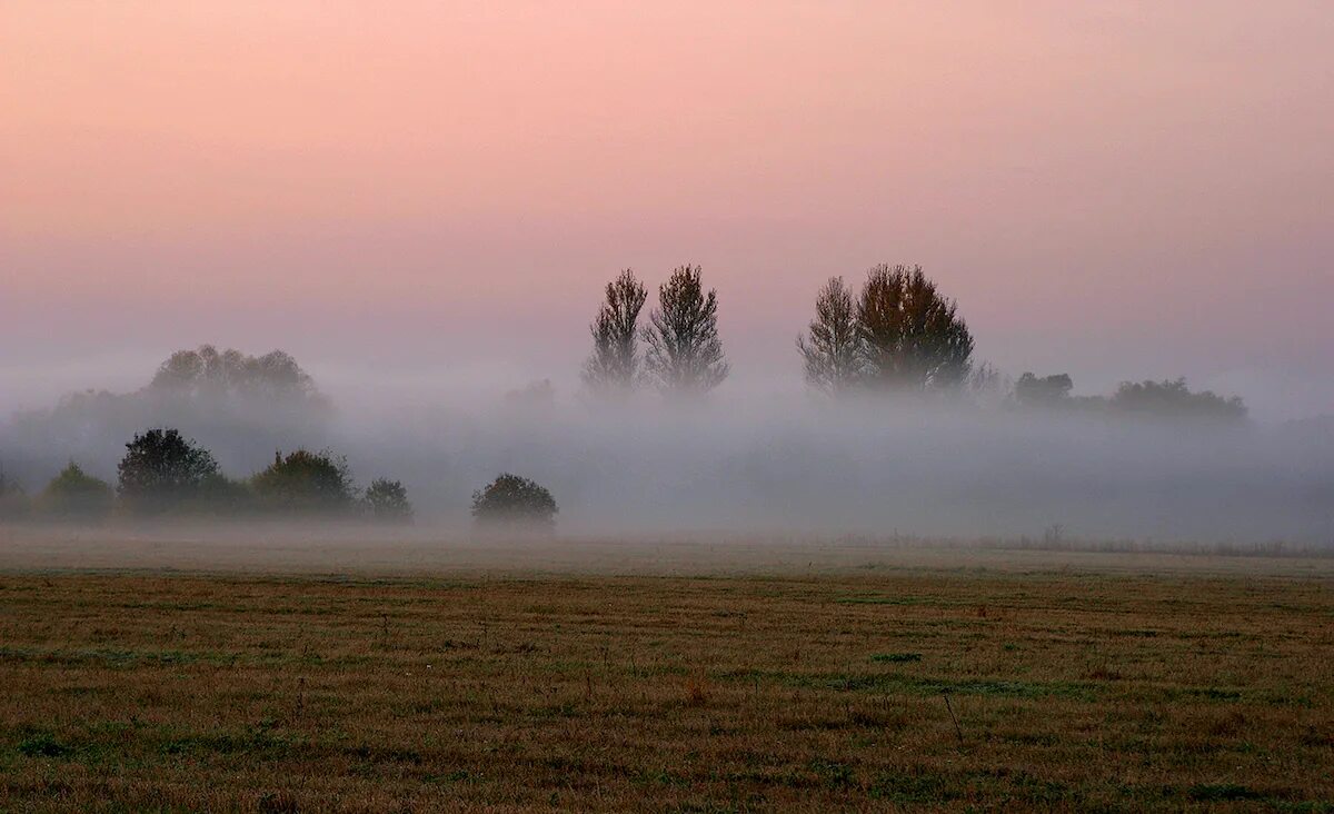 Стелется пелена. Туманное утро. Осеннее поле в тумане. Осень туман. Туман в степи.