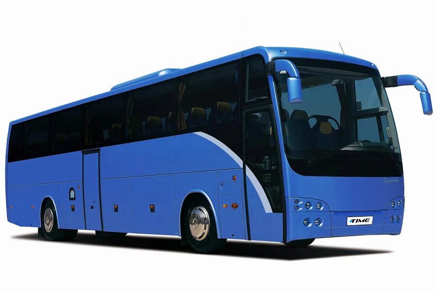 Buses it or they