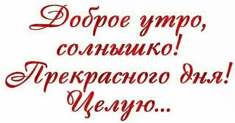 Доброе утро солнышко девушке картинки красивые