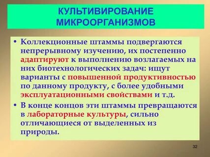 Что такое штамм в биологии