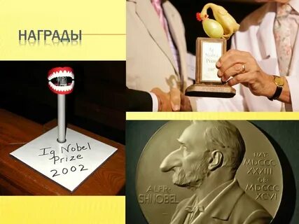 Некоторый премия