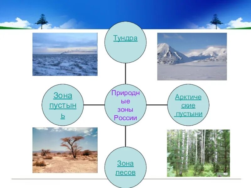 Описать любую природную зону. Проект природные зоны России. Природные зоны 4 класс окружающий мир. Продукт на тему прироодные зоны России. Презентация на тему природные зоны.