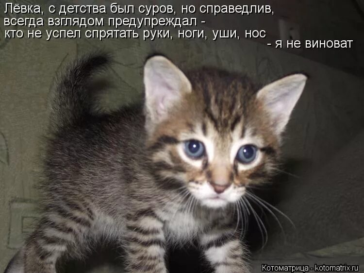 Не успела спрятать