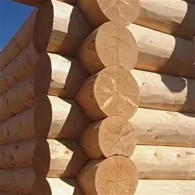 Срубы кудымкар. Причерчивание бревна. лунный паз в бревне. срубы из кудымкара пермь.