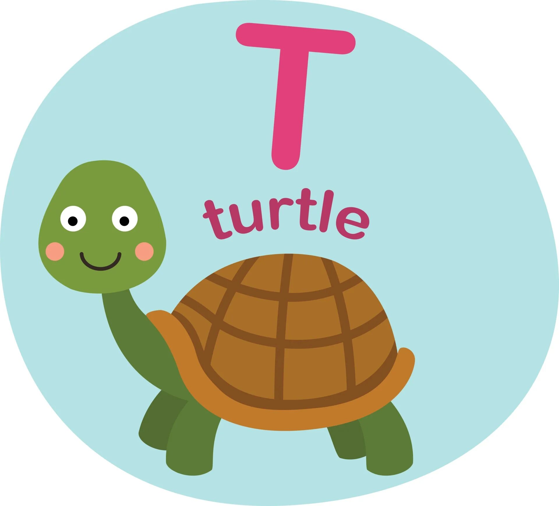 T черепаха. Алфавит черепаха. Буква черепаха. Letter t Turtle.