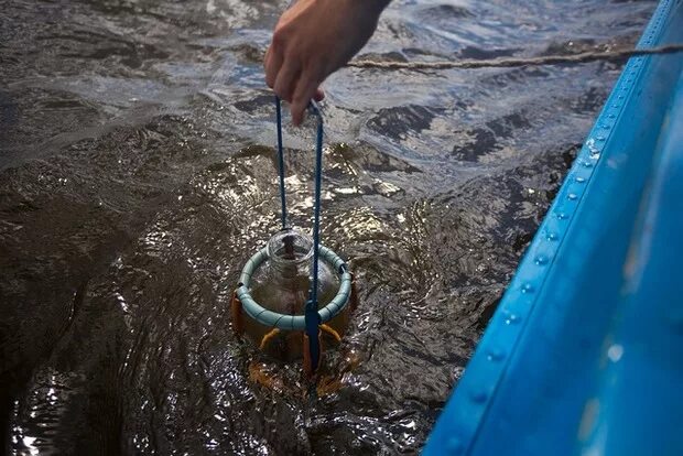 Правила отбора воды. Отбор проб сточных вод. Отбор проб воды. Взятие проб воды. Пробоотбор проб воды.