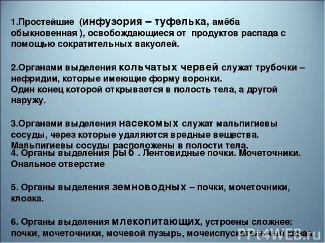 Транспорт продуктов распада к органам выделения. Сообщение на тему значение процессов выделения у животных организмов. Значение процессов выделения у живых организмов сочинение. Сообщение на тему значение процессов выделения у живых организмов. Реферат " значение процессов выделения у живых организмов".