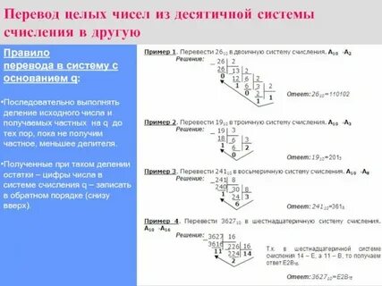 Выполни перевод между системами счисления десятичная 348