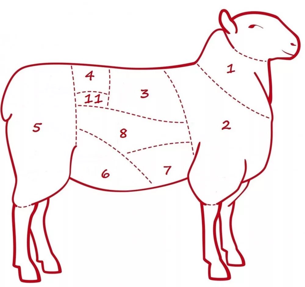 Какую часть баранины берут. Схема разруба туши баранины. Схема разделки бараньей туши. Схемаразрба туши баранины. Схема разруба баранины.