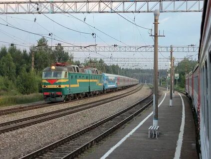 Поезд брянск питер