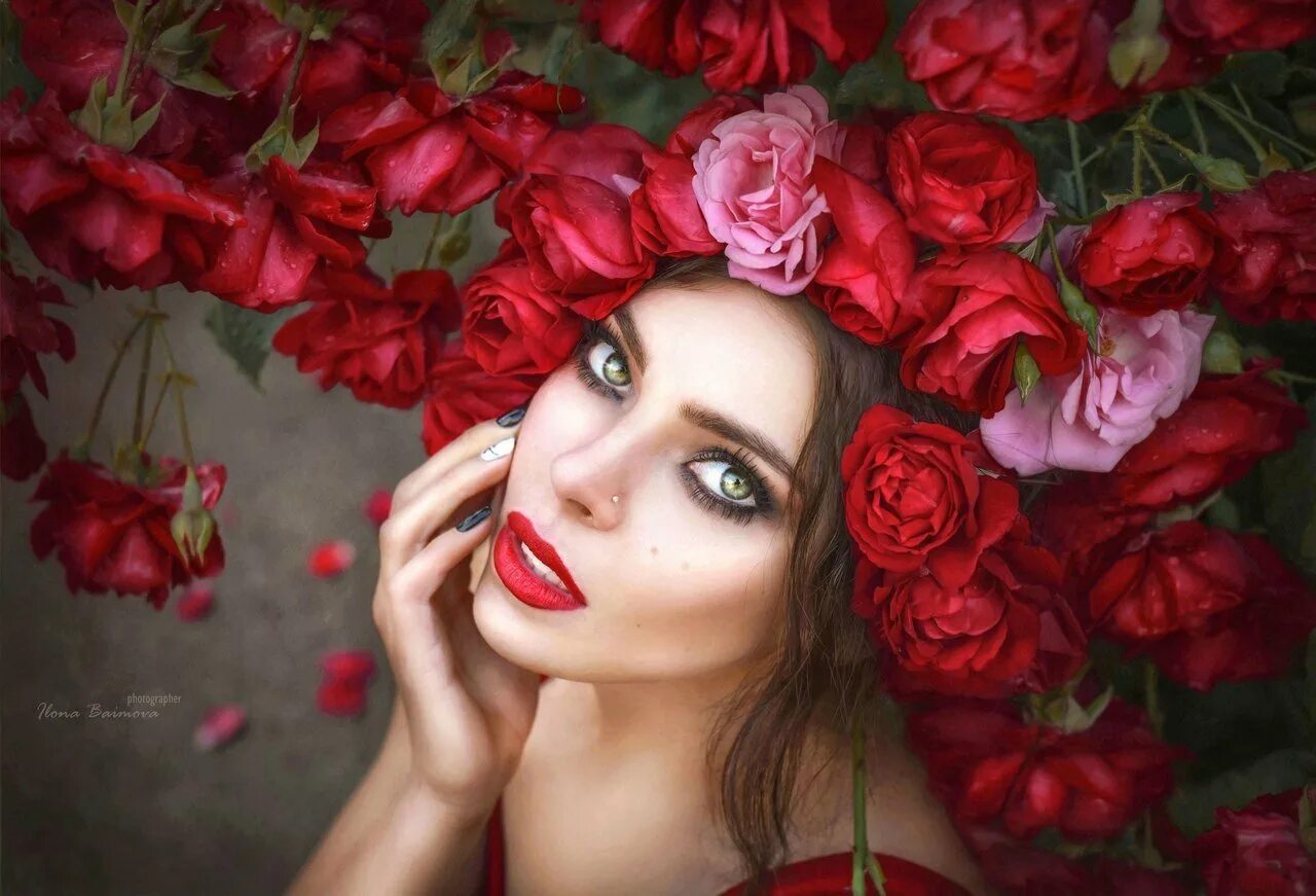 Девушка розы видео. Фотосессия с розами. Портрет девушки. Девушка с красными розами. Девушка роса.