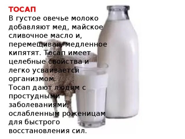 Греческое молоко как называется. Овечье молоко. овечье молоко название. характеристика овечьего молока. овчинное молоко.