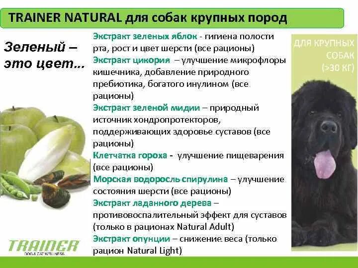 Содержание собак крупных пород. Рацион крупной собаки. рацион питания щенка крупных пород. источник клетчатки в рационе собак. рекомендации по кормлению собак кормом трейнер.