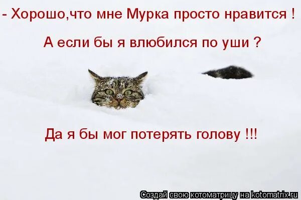 я по уши в тебя влюблён. я по уши в тебя влюблен. шутки про сопли. влюбиться по уши рисунок. по уши в тебя.