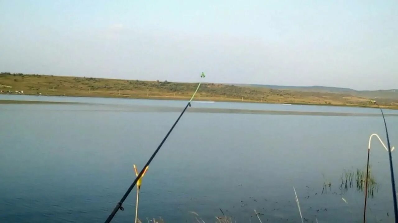 Пруд красный Металлист Ставропольский край. Новомарьевка Ставропольский пруды. Красный Металлист Новомарьевка. Пруд красный Металлист Ставрополь рыбалка.