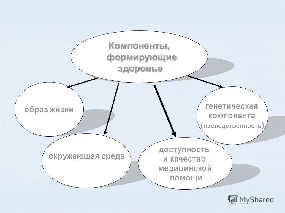 Технологии индивидуального образования. Свойства формирующего оценивания. Формируемые компоненты. Формируемые компоненты. Формируемые компоненты.