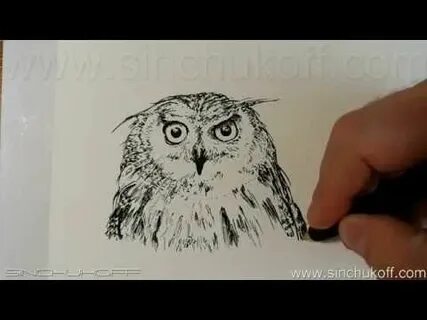 Рисуем сову видео