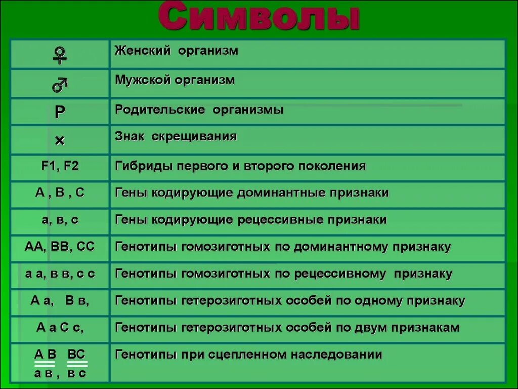 Решение задач по биологии 11 класс. Как решать задачи на генетику. Как решать биологические задачи. Задачи по генетике. Генетика задачи.