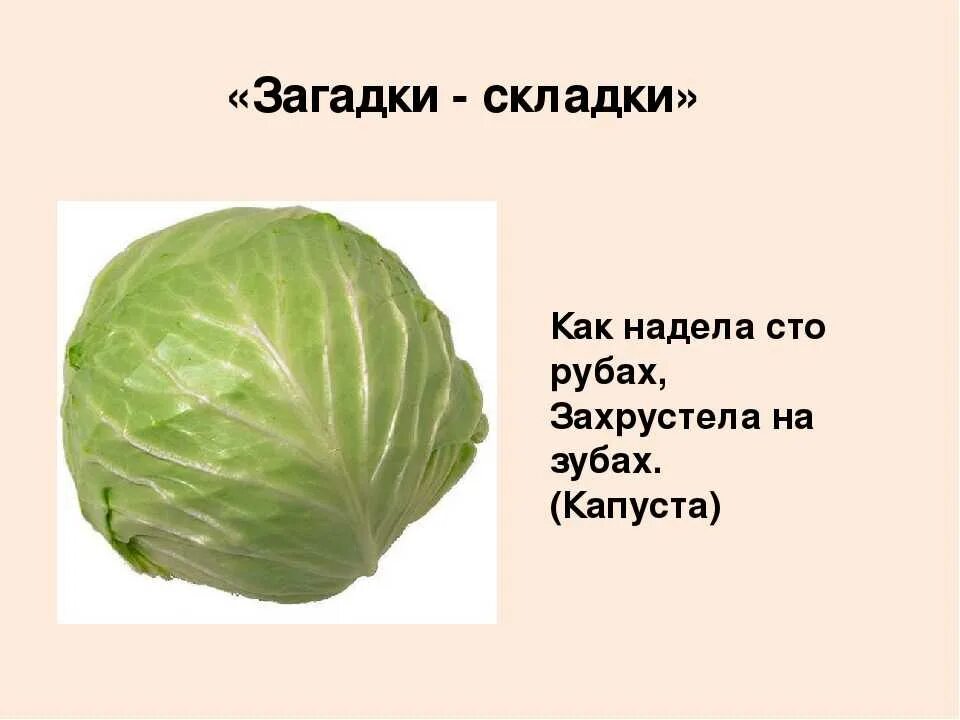 Загадка про капусту. Загадка про капусту для детей. Детские загадки про капусту. Смешные загадки про капусту.