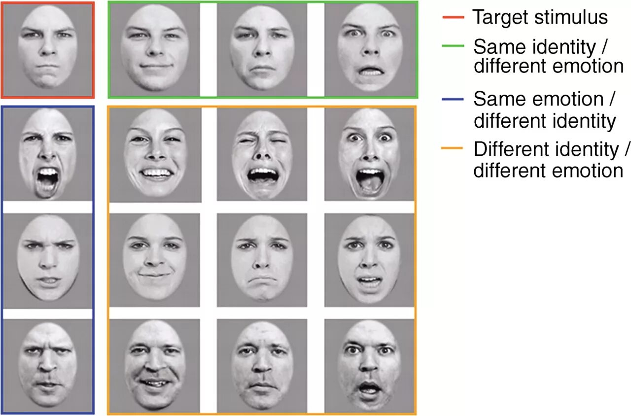 Different emotions. Лица с разными эмоциями. Разные выражения лица. Эмоции на лице. Разные эмоции мимика.