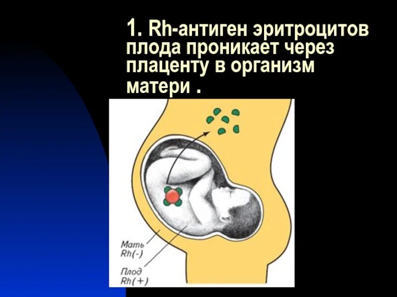 Антитела проникающие через плаценту. Антигены в плаценте. Иммуноглобулин проникающий через плаценту. Антитела проходят через плаценту.