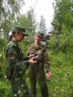Сбор студентов