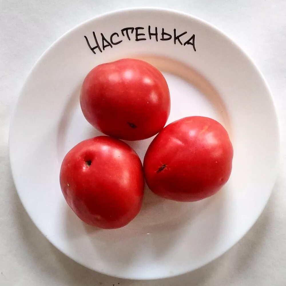 Сорт томатов настенька. Сорт помидор настенька. сорт помидор настя. настенька клуша помидоры сорт. томат настенька на кусту.