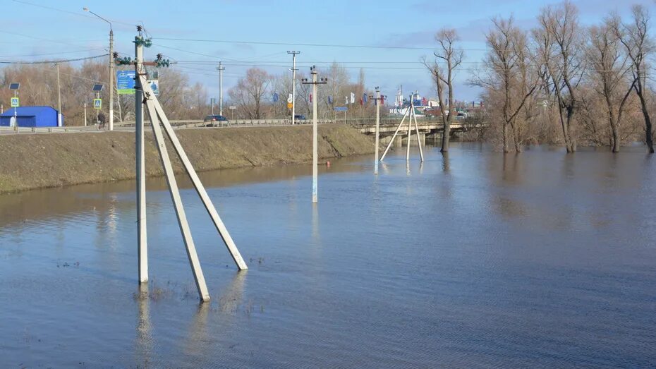 Уровень воды в реке воронеж. Река Толучеевка Калачеевского района. Половодье в Калаче Воронежской области 2023. Река Толучеевка Воронежской области. Калач Воронежская область речка Толучеевка.