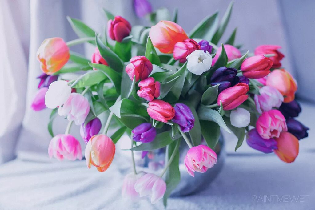 Хорошего дня тюльпаны картинки. Букет тюльпанов. Красивые тюльпаны. Букет тюльпанов открытка. С днём рождения тюльпаны.