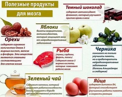 Укрепляющие сосуды головного мозга