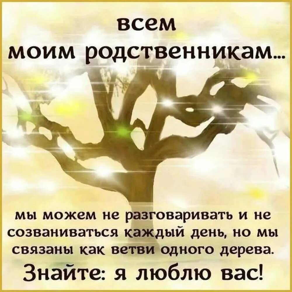 Выбирайте дерево и живите. Высказывания про родню. Цитаты про родных. Цитаты про родственников. Красивые слова про родственников.