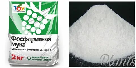 Шымкент фосфорный