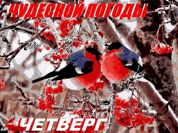 Февральское утро четверга. Доброе зимнее утро четверга. Хорошего зимнего четверга. С добрым зимним утром четверга. Доброе утро четвергтзима.