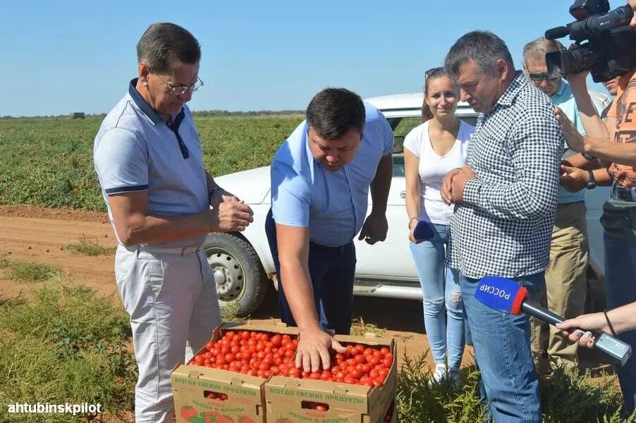 Погода садовое астраханской. Село Болхуны Ахтубинского района. Село Золотуха Астраханская область. Золотуха село Астраханская область Ахтубинский. КФХ Астраханской области.