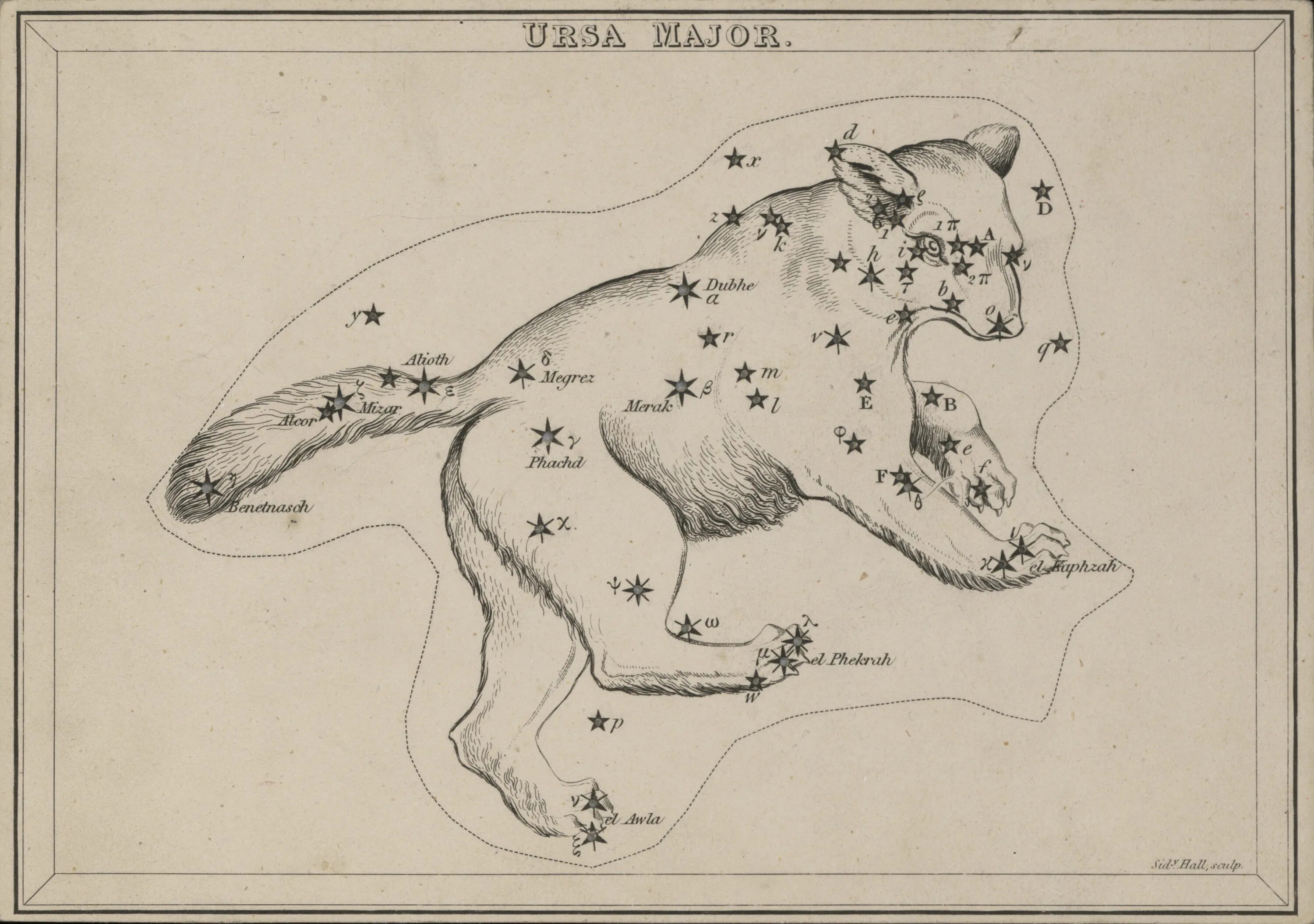 Ursa Major Созвездие.