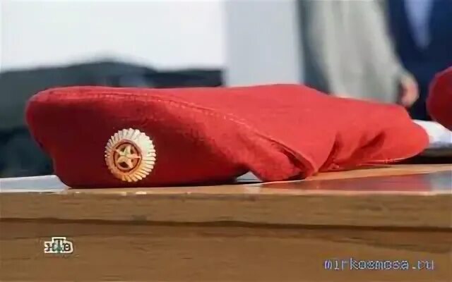 К чему снится мертвая собака. Белые береты украины. Сону в шапке. А мы береты на лоб. Хлопковый берет купить.