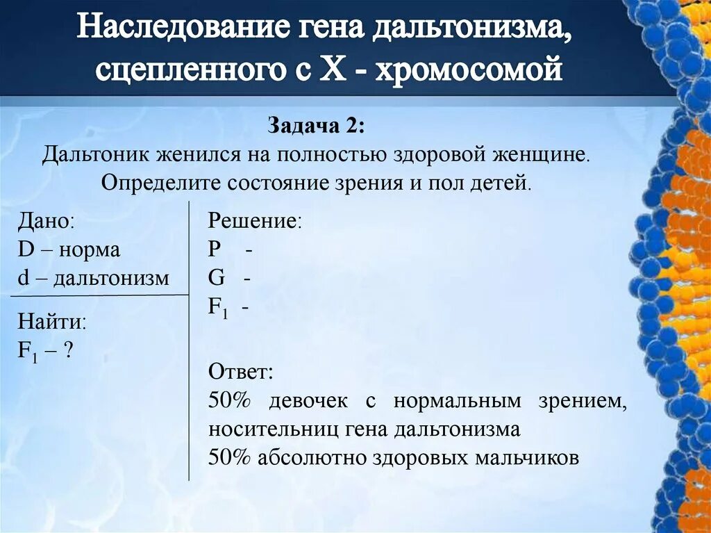 Ген вызывающий развитие дальтонизма. Дальтонизм генетика задача. Задача по биологии на дальтонизм. Задачи на сцепленное наследование. Наследование дальтонизма задача.