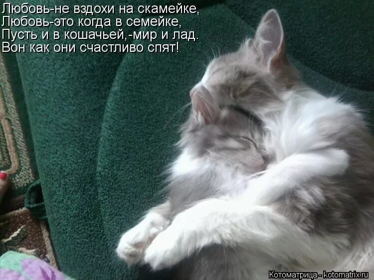 любовь не вздохи