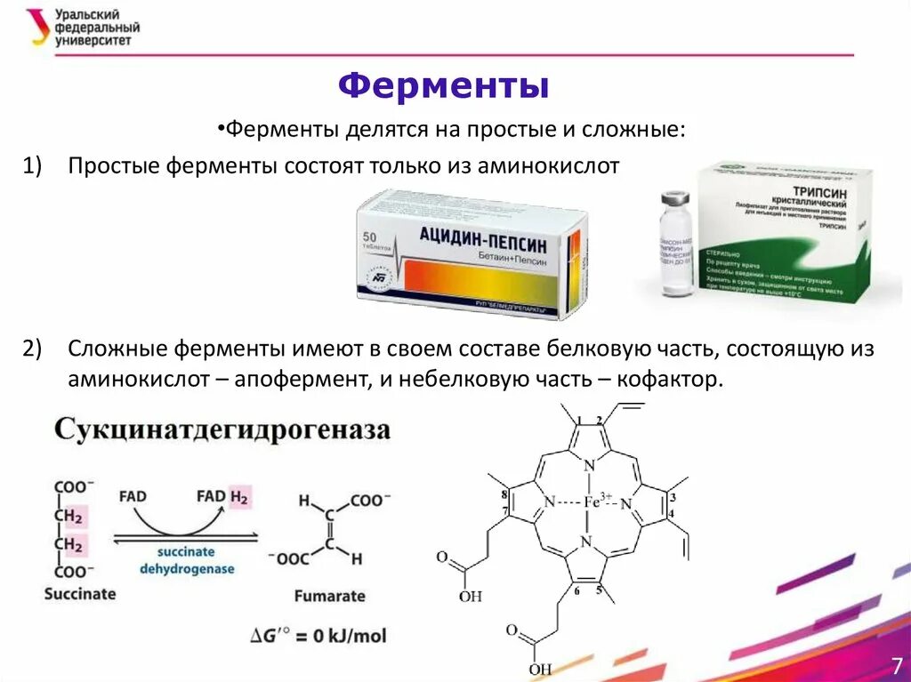 Ферменты коротко. Сложные ферменты примеры. Простые и сложные ферменты примеры. Классификация ферментов простые и сложные. Простой фермент состоит.