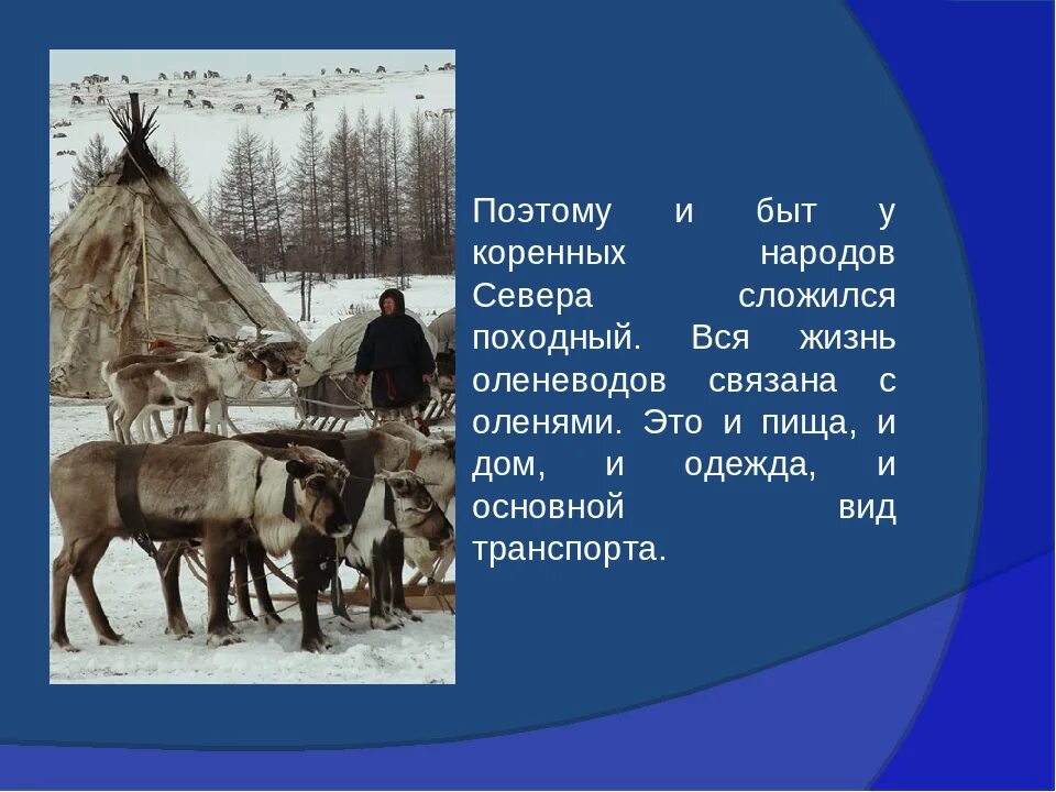 Сообщение о коренном народе севера. Жизнь народов крайнего севера. быт народов севера россии. быт и жизнь северных народов. быт оленеводов.