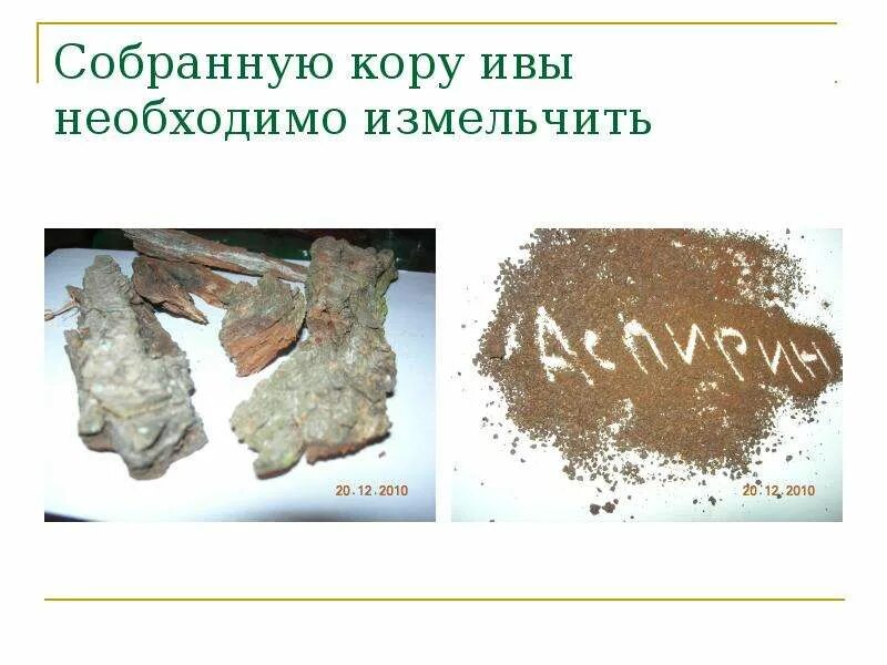 Какое лекарство было получено из коры ивы