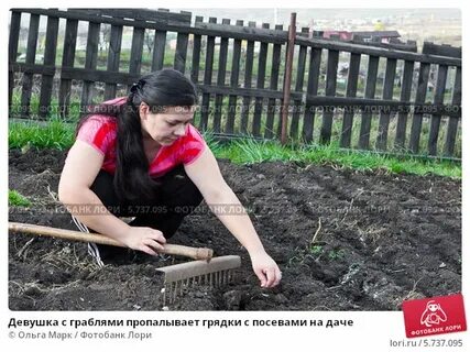 Катя и настя работая вместе пропалывают грядку