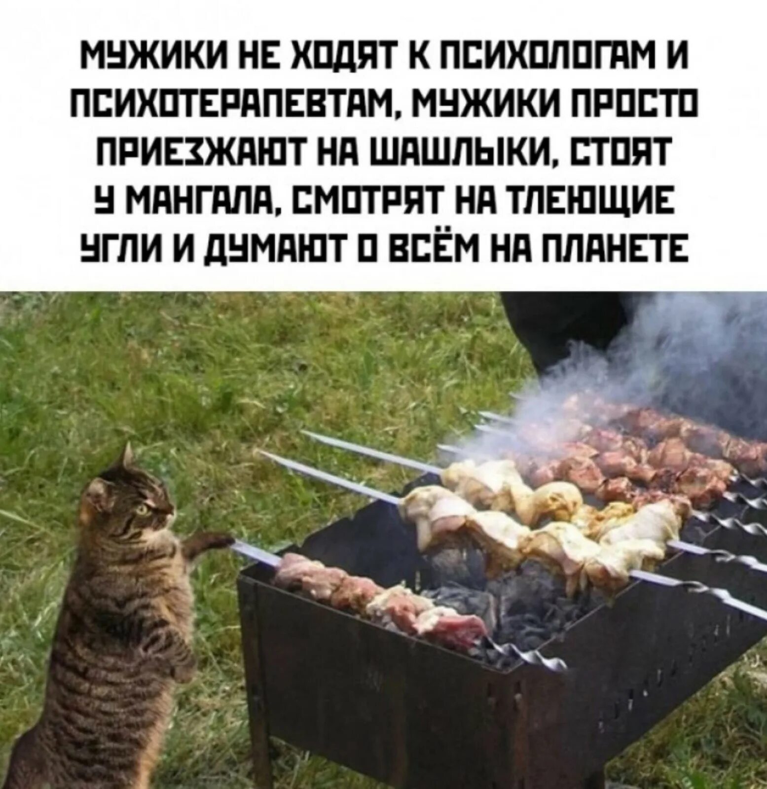 Шашлыки на даче. Шашлык юмор. Мама будет жарить